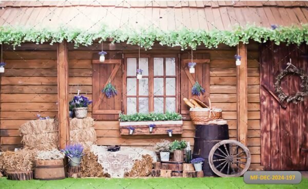 Studio Backdrop - Image 4